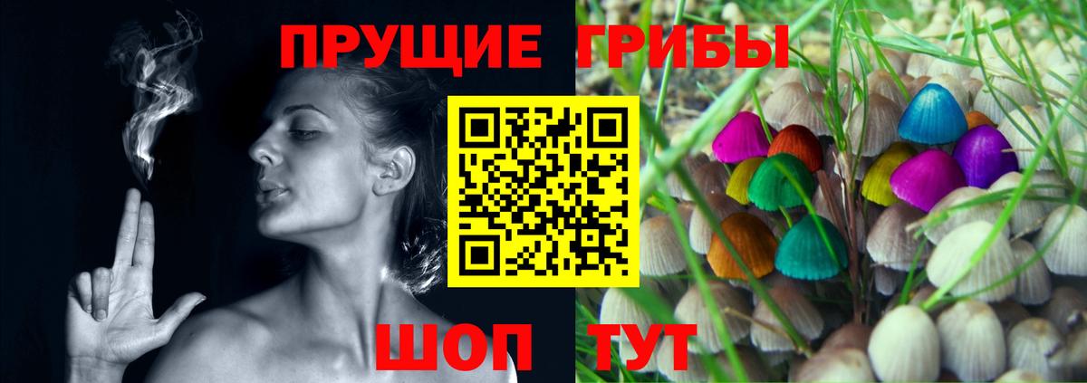 Псилоцибиновые грибы мухоморы Партизанск